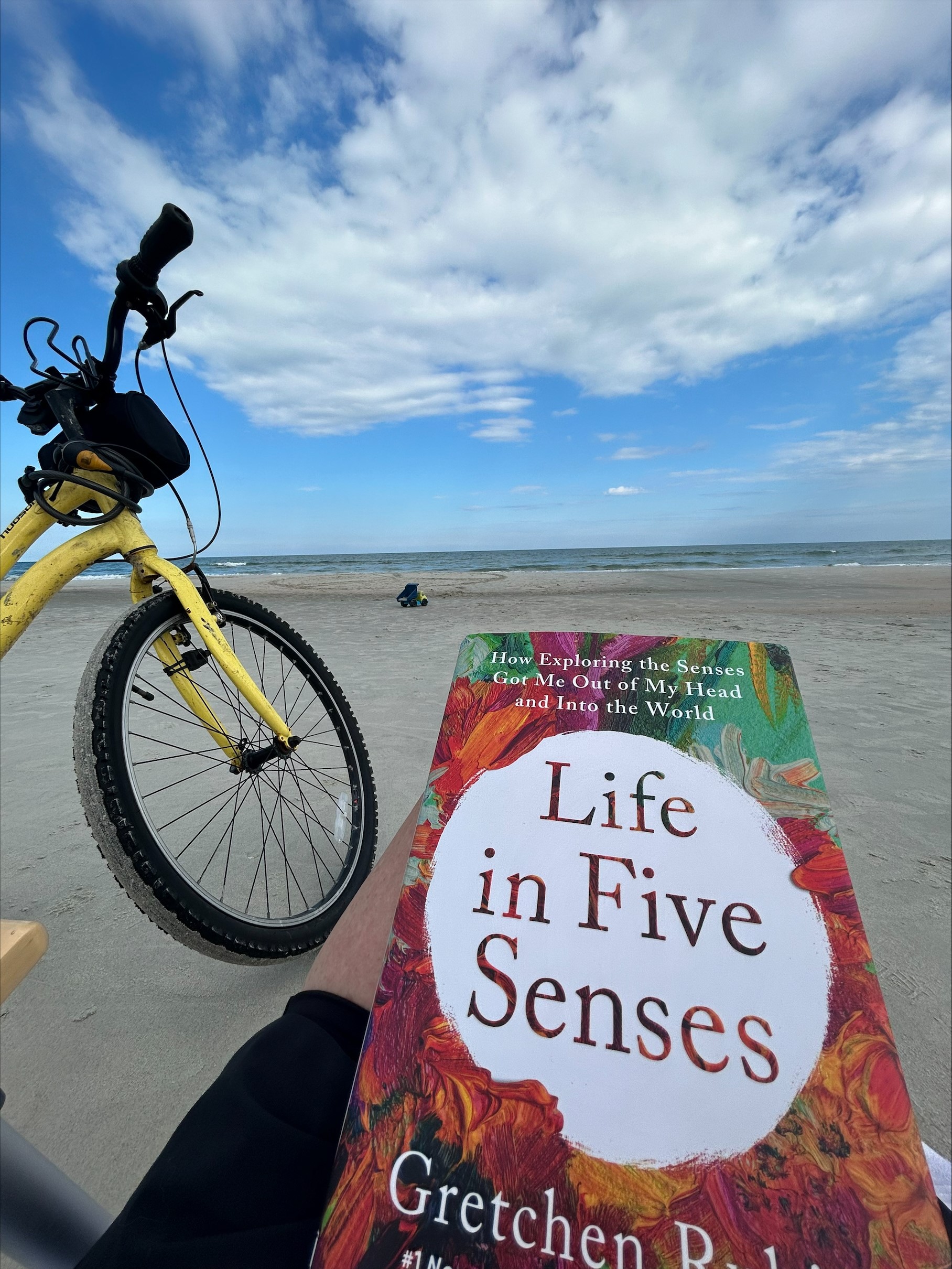 Blink Book Review: “Life in Five Senses” by Gretchen Rubin
