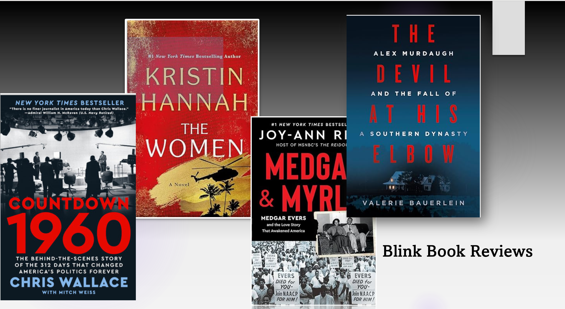 Blink Book Reviews are back for summer 2025